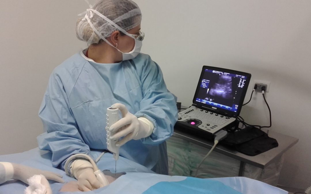 Biópsia hepática percutânea guiada por ultrassom – um método pouco invasivo no diagnóstico de doenças hepáticas.