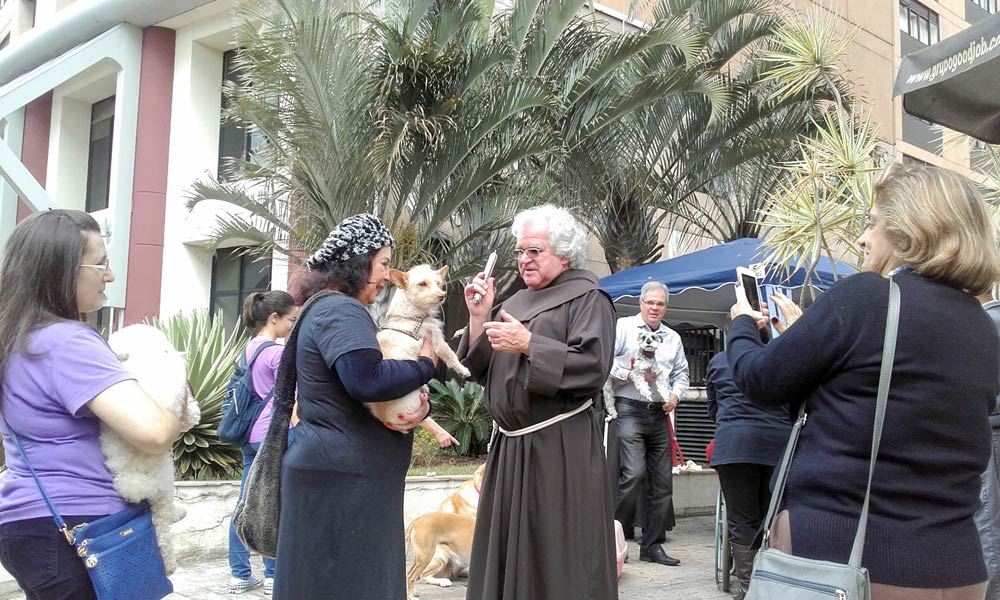 Dia especial para os animais na Paróquia São Francisco de Assis, Vila Clementino