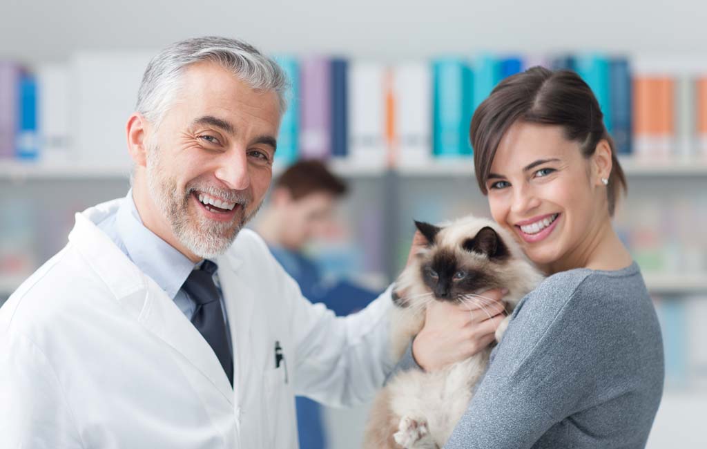 A relação: tutor, médico veterinário e paciente